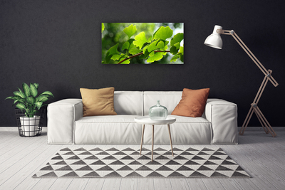Canvas Wall art Branch leaves floral brown green