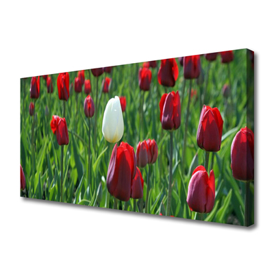 Canvas Wall art Tulips floral red white green