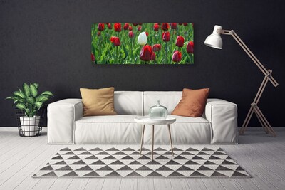 Canvas Wall art Tulips floral red white green