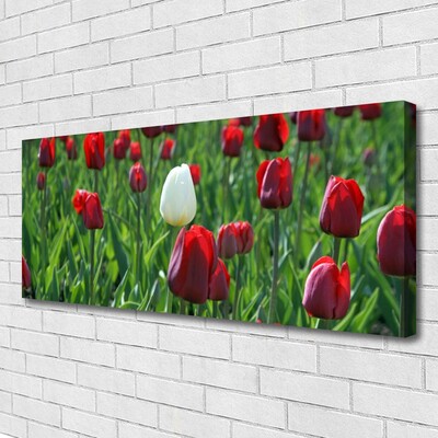 Canvas Wall art Tulips floral red white green