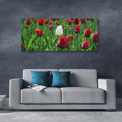 Canvas Wall art Tulips floral red white green