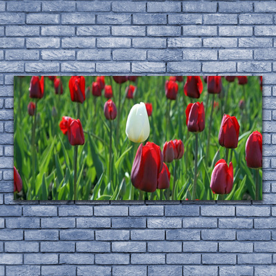 Canvas Wall art Tulips floral red white green