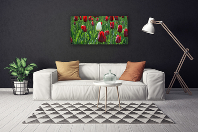 Canvas Wall art Tulips floral red white green