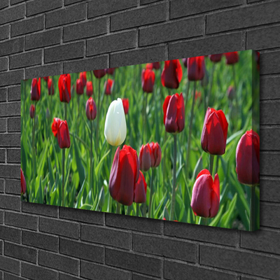 Canvas Wall art Tulips floral red white green