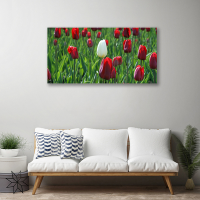 Canvas Wall art Tulips floral red white green