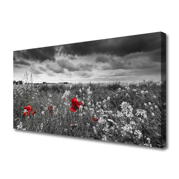 Canvas Wall art Meadow flowers nature grey red