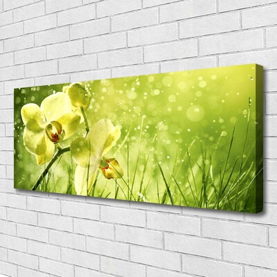 Canvas Wall art Grass flowers floral green