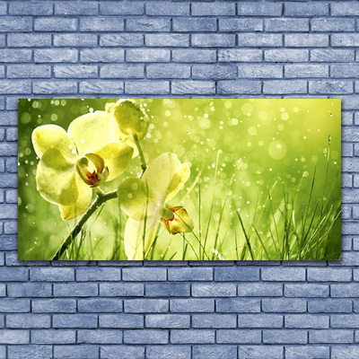 Canvas Wall art Grass flowers floral green