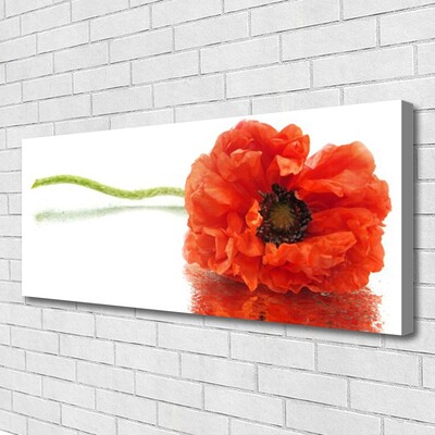 Canvas Wall art Flower floral red