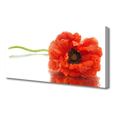 Canvas Wall art Flower floral red