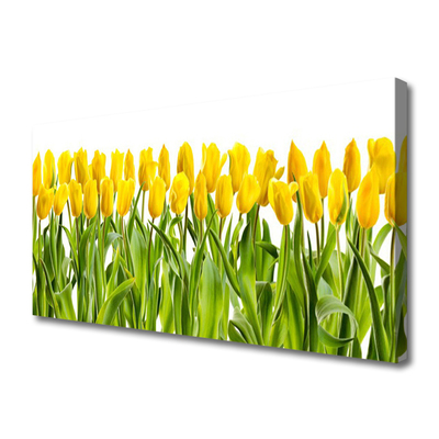 Canvas Wall art Tulips floral yellow green