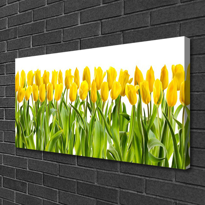 Canvas Wall art Tulips floral yellow green