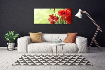 Canvas Wall art Poppies floral green red