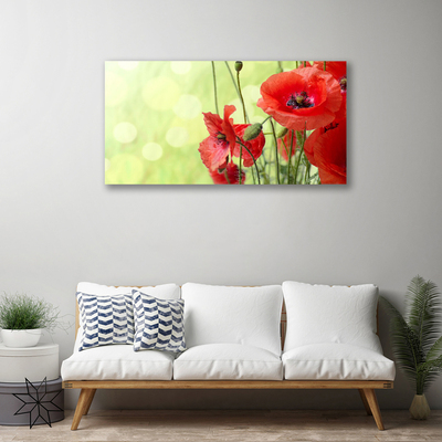 Canvas Wall art Poppies floral green red