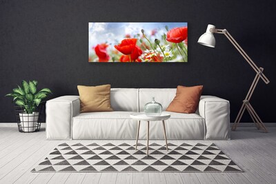 Canvas Wall art Poppies daisies floral red yellow white