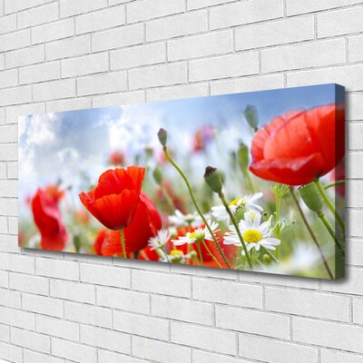 Canvas Wall art Poppies daisies floral red yellow white