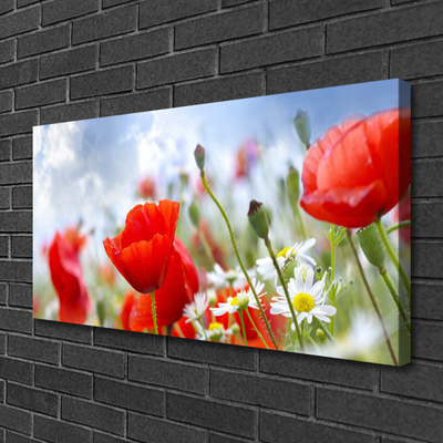 Canvas Wall art Poppies daisies floral red yellow white