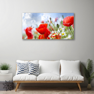 Canvas Wall art Poppies daisies floral red yellow white