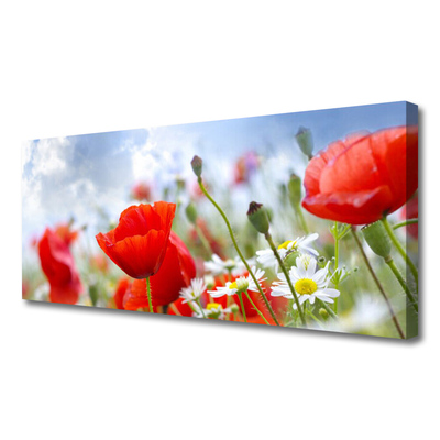 Canvas Wall art Poppies daisies floral red yellow white