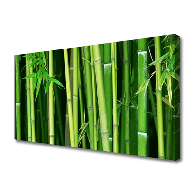 Canvas Wall art Bamboo stalks floral green