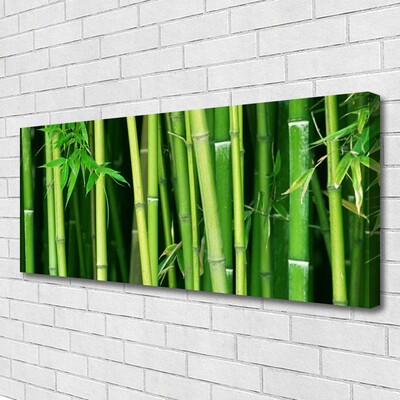 Canvas Wall art Bamboo stalks floral green