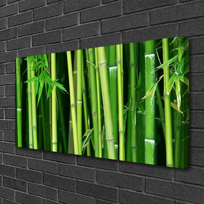 Canvas Wall art Bamboo stalks floral green