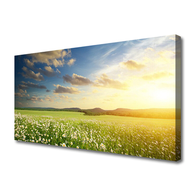 Canvas Wall art Meadow flowers landscape green white