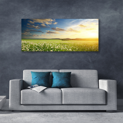 Canvas Wall art Meadow flowers landscape green white