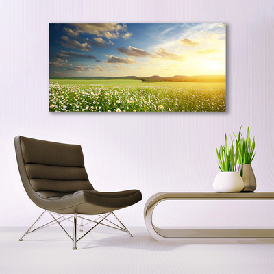 Canvas Wall art Meadow flowers landscape green white