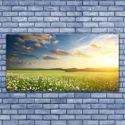 Canvas Wall art Meadow flowers landscape green white