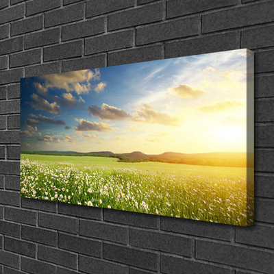 Canvas Wall art Meadow flowers landscape green white