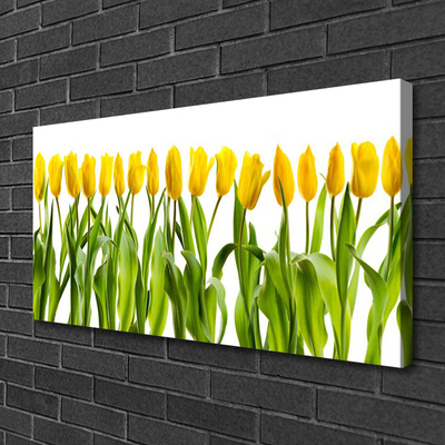 Canvas Wall art Tulips floral green yellow
