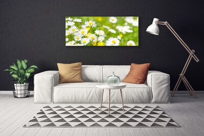 Canvas Wall art Daisy floral yellow white