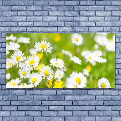 Canvas Wall art Daisy floral yellow white