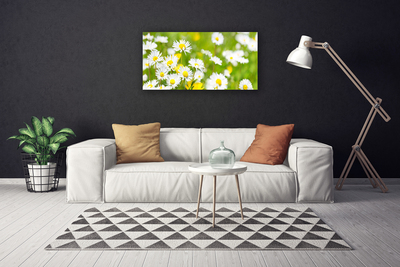 Canvas Wall art Daisy floral yellow white