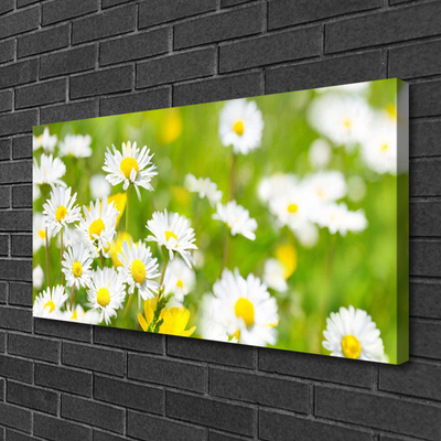 Canvas Wall art Daisy floral yellow white