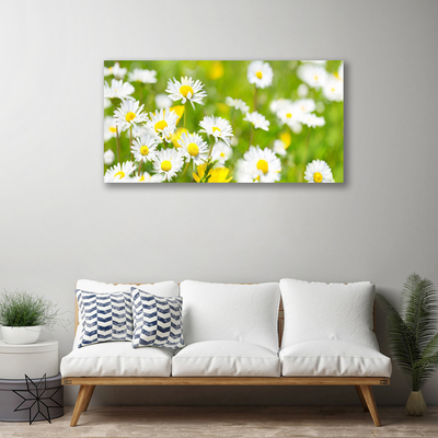 Canvas Wall art Daisy floral yellow white