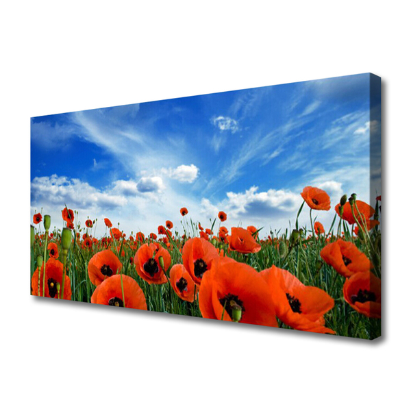 Canvas Wall art Meadow poppies floral green red