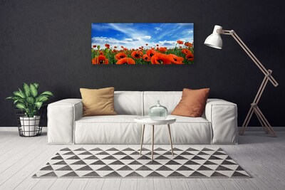 Canvas Wall art Meadow poppies floral green red