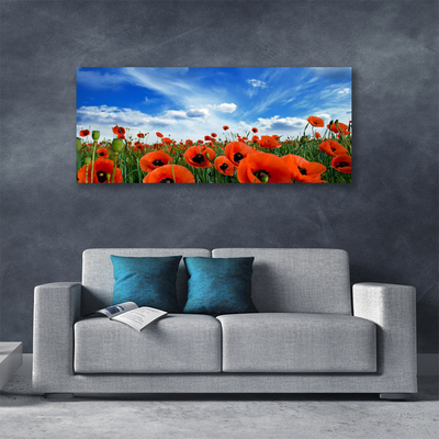 Canvas Wall art Meadow poppies floral green red