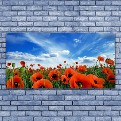 Canvas Wall art Meadow poppies floral green red