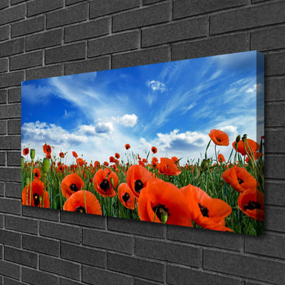 Canvas Wall art Meadow poppies floral green red