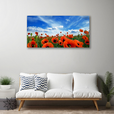 Canvas Wall art Meadow poppies floral green red