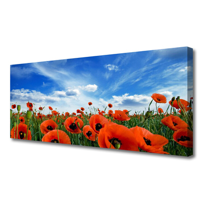 Canvas Wall art Meadow poppies floral green red