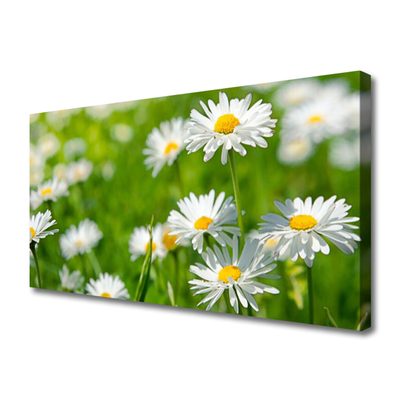 Canvas Wall art Daisy floral yellow white