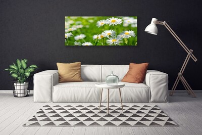 Canvas Wall art Daisy floral yellow white