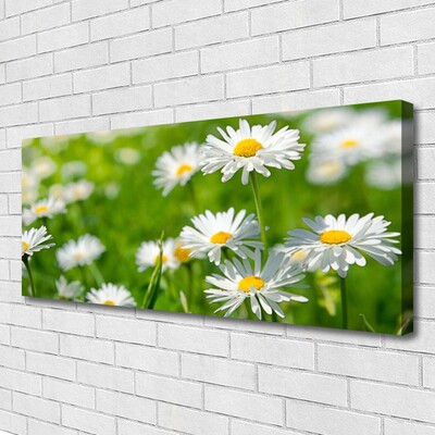 Canvas Wall art Daisy floral yellow white