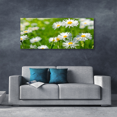 Canvas Wall art Daisy floral yellow white