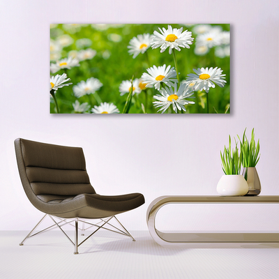 Canvas Wall art Daisy floral yellow white