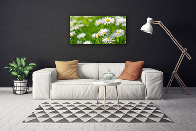 Canvas Wall art Daisy floral yellow white